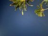IMG_9182.jpeg